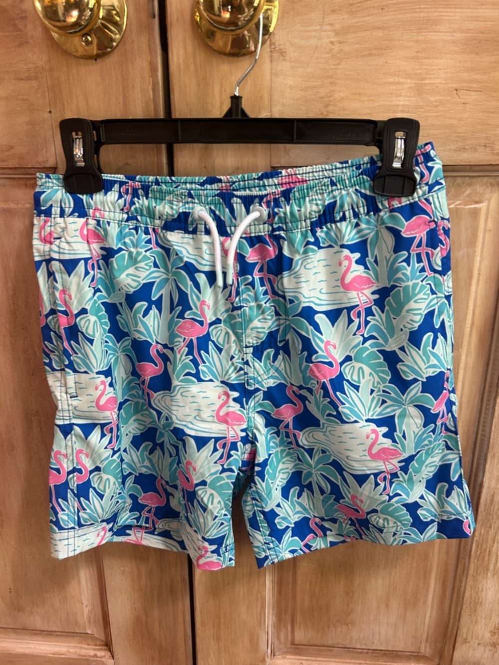 Boy  Blue Flamingo Print Swim Trunks 10-12